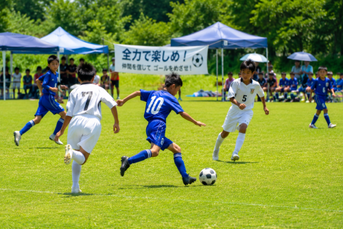 1e561421-7c9c-4308-8bbe-b3bf768a3731.png
