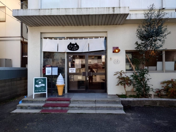 552130259193954530 (1).jpg